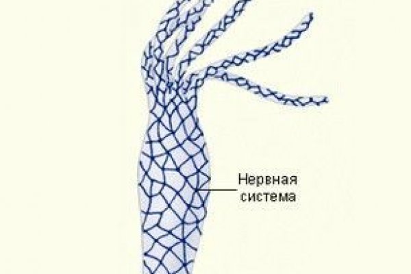 Пользователь не найден кракен даркнет